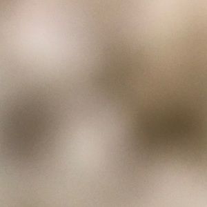 Meet your Posher, Helena and emma